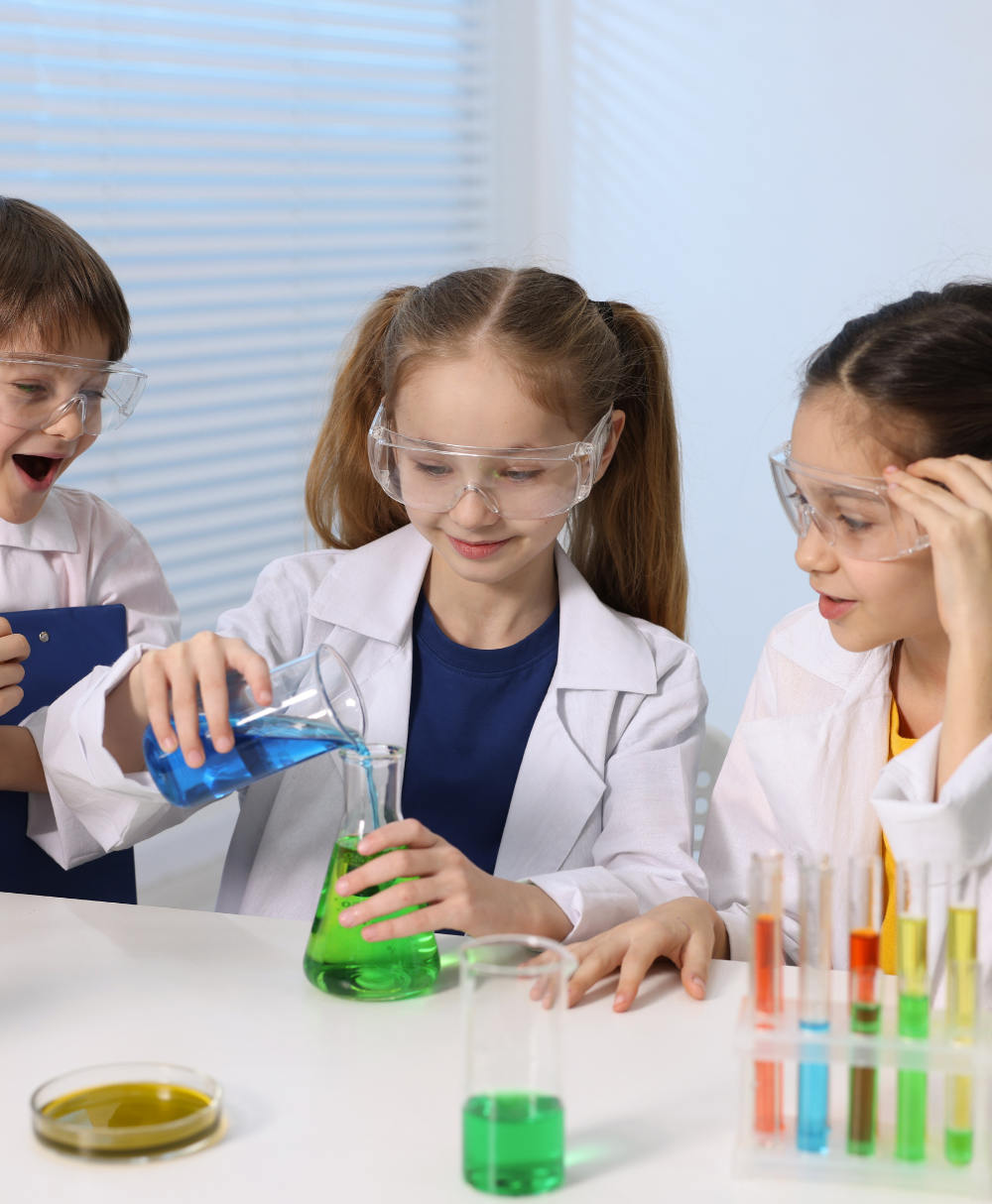 Servicios Profesionales, Científicos y Técnicos